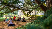 Group of people meditating in yoga session