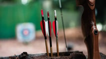 Close up of some arrow fletchings used for archery at Thoresby Hall Hotel